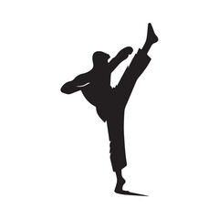 silhouette of a man doing martial arts