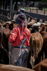 Ranch worker or gaucho in traditional clothing herding cattle on a rural farm, capturing authentic agricultural labor and countryside lifestyle