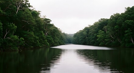 Serene River Journey Through Lush Green Jungle Landscape.