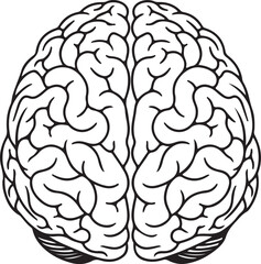 Minimalist Black and White Human Brain Top View Line Icon for Medical, Psychology, and Science Stock Use