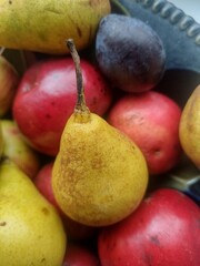 Apples, pears and plums in a plate.