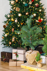 Small decorative Christmas tree in woven basket placed in a cozy holiday interior with warm lights and festive winter decor. Perfect seasonal scene for Christmas and winter themes.