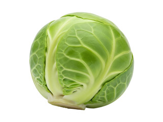 Obraz premium Isolated Brussels sprout on clean backdrop, fresh and green, edible vegetable, food item