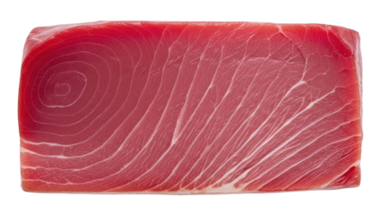Isolated red raw tuna fillet block, seafood ingredient for sushi and sashimi cuisine