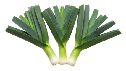 Isolated still life of three fresh leeks bundled together, showcasing the vegetable's texture