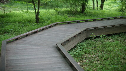 Curved wooden walkway winding through public forest park