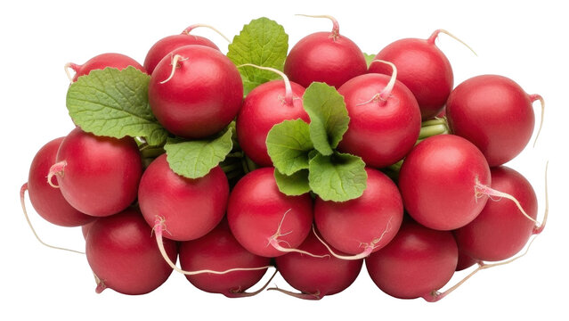 Isolated bunch of fresh red radishes with green leaves, nutritious and healthy food - Powered by Adobe