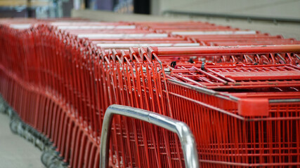 Rows of red supermarket carts