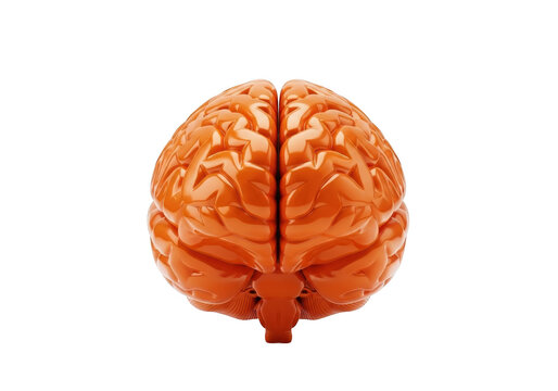 3d icon of orange brain model isolated on transparent background, representing intelligence, memory, and cognitive function, ideal for educational and medical presentations