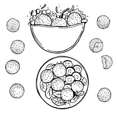 Hand-drawn falafel set. Pita with falafel,  falafel balls. Vector sketch illustration.