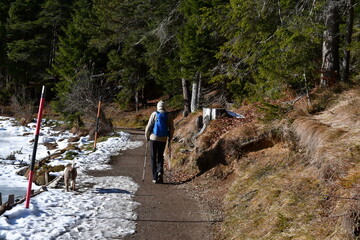 Mann und sein Lagotto Romagnolo Hund wandern bei M&ouml;sern in Tirol