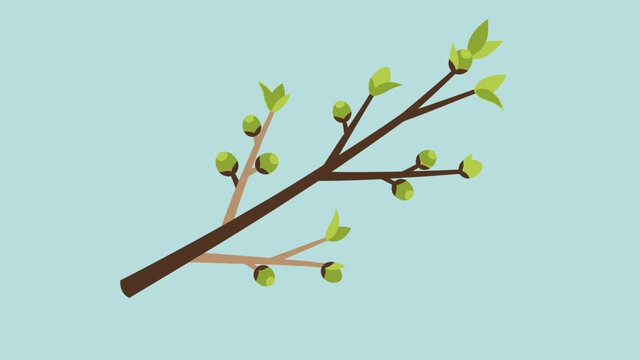 A simple illustration of a tree branch with new leaves and buds emerging in springtime.