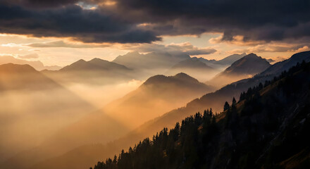 Obraz premium Golden Sunset Light Over Misty Mountain Pine Forest