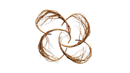 Intertwined-Roots-Circles-Floral-Arrangement-Stock-Photography-White-Background.png
