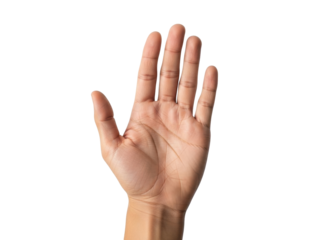 Isolated palm of a human hand extended upward in a gesturing position, open and facing forward