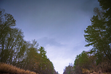 Serene reflection of a twilight sky with a crescent moon and silhouetted trees on a calm water surface, creating a peaceful and inverted natural landscape.