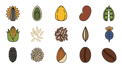 Collection of various seeds and nuts including sunflower, pumpkin, coffee, and peanuts in a