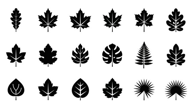 Collection of diverse black and white leaf silhouettes illustrating various tree and plant species