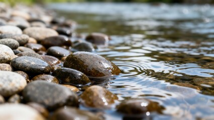 Smooth wet river pebbles lining the shallow edge of a flowing natural stream showing water ripples and light reflections in a  outdoor view.