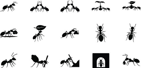Collection of various ant silhouettes in different poses and movements