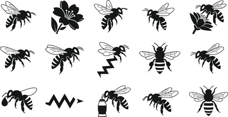 Collection of various bee illustrations in black and white
