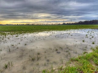Champ inond&eacute; apr&egrave;s la pluie 