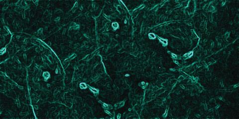 Deep teal abstract texture with intricate organic patterns and glowing cyan outlines creating a futuristic and technological feel