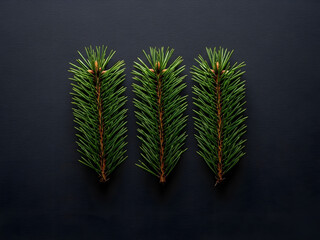 Green pine needles with transparent background
