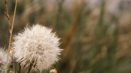 Krajobraz nad rzeką Parsęta © lech