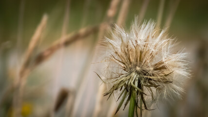Krajobraz nad rzeką Parsęta © lech
