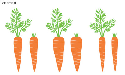Carrot vector illustration set, carrot fruit symbol logo, isolated on white background