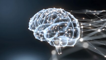 3D rendering of a digital brain with interconnected lines and nodes illustrating neural network activity - Powered by Adobe