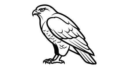 Fototapeta premium bird of prey