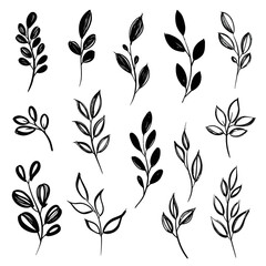 Fototapeta premium Abstract vector illustrations featuring a collection of simple hand-drawn plant shapes, created with elegant ink brush lines for organic design elements and natural aesthetics