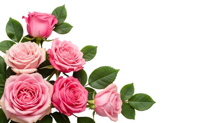 Fototapeta premium Collection of pink roses and green leaves isolated on transparent background