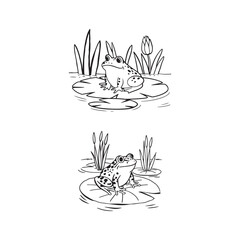 Line Art Frogs on Lily Pads with Cattails