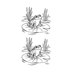 Line Art Drawing of Frogs on Lily Pads