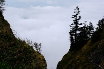 Mount Rigi cliff and pine trees frame vast cloud