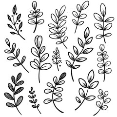 Fototapeta premium Delicate hand-drawn botanical vector illustration featuring an elegant assortment of minimalist leaves and graceful stems, perfect for natural design embellishments