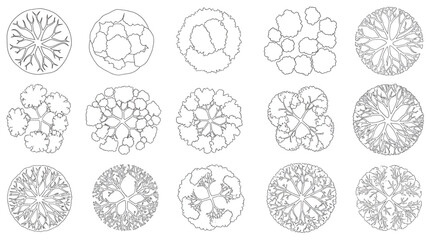 Landscape Design CAD Trees, Top View Vector Foliage for Garden and Environment