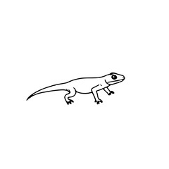 Black line art, a small leaping salamander, white