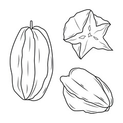 Fototapeta premium Cutaway Star Fruit
