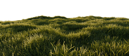 Hills with grass on a transparent background. 3D rendering.	
