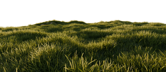 Hills with grass on a transparent background. 3D rendering.	
