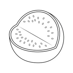 Cutaway Watermelon C Fruit