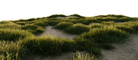 Hills with grass on a transparent background. 3D rendering.	
