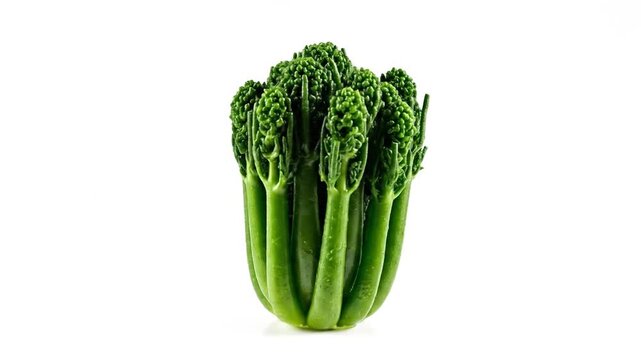 Fresh Green Broccolini Florets Standing Upright on a Clean White Studio Background