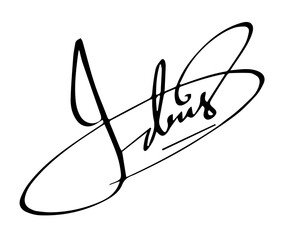 Overall Style and Form: The image features a highly stylized logo or signature, drawn with thick, flowing, connected lines, resembling calligraphy or artistic cursive.
