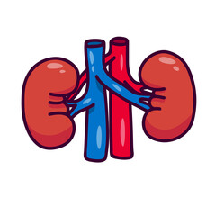 Human kidneys in cartoon style.  Human kidney logo or icon for medicine.  Isolated on white background there is a place for an inscription.  Human blood filter