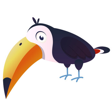 Illustration of a toucan bird looking at us. Cartoon style. A friendly bird with a cute appearance.